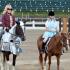 WTPC Hunter Jumper Show